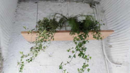 Apartamento Kamara