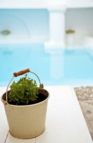 Altana Boutique Hotel