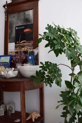Apartamento Nautilos