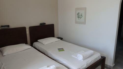 Apartamento Alex