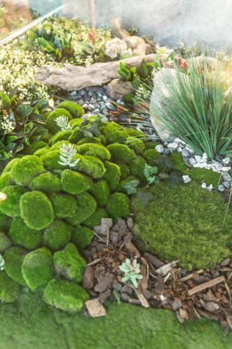 Hotel Olanesti & Spa Medical