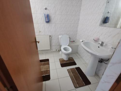 Hostal Pensiunea Stefan
