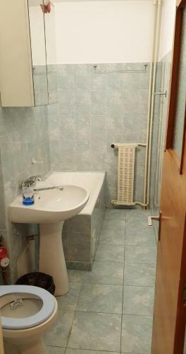 Apartamento Central Studio Parcul Circului
