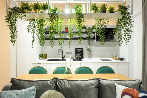 Apartamento Stracciatella. Luxury Old Town Apt & Free Netflix