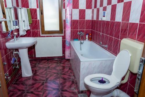 Hostal Pensiunea Sidonia