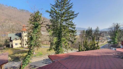 Hostal Pensiunea Sidonia