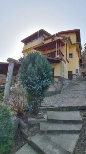 Hostal Pensiunea Sidonia