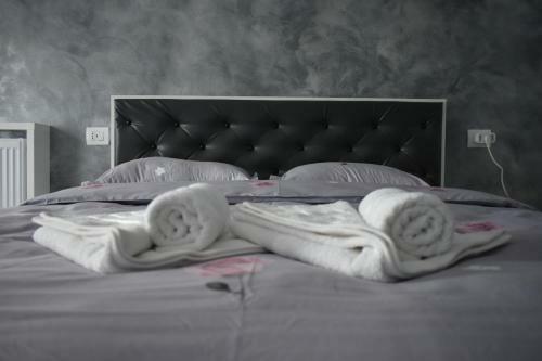 Hotel Cazare Moldi Btt