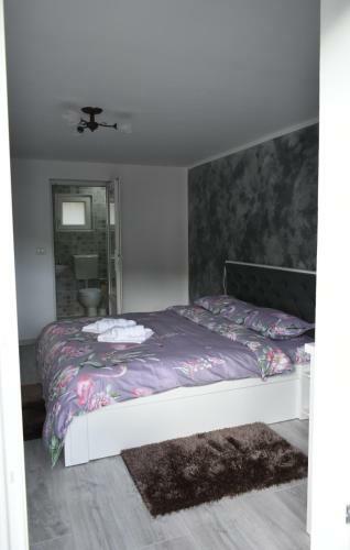 Hotel Cazare Moldi Btt