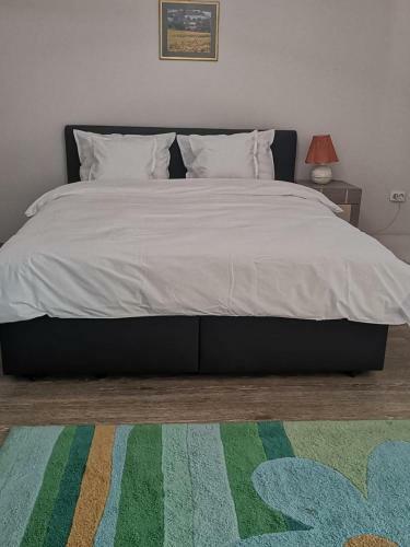 Vikings Grigo Apartaments
