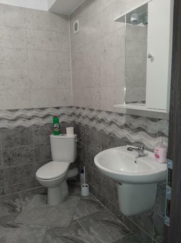 Luxury Apartment Dan