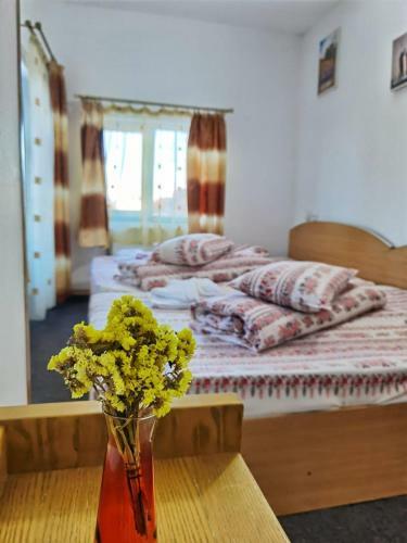 Hostal Dor De Munte Straja