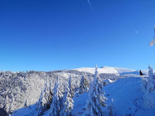 Hostal Dor De Munte Straja