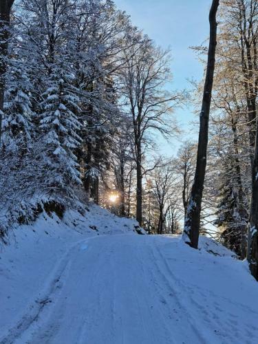 Hostal Dor De Munte Straja