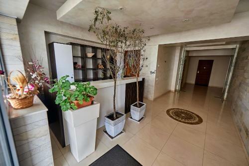 Apartamento Zenia Tudor's Residence