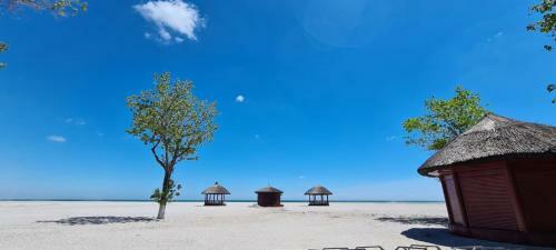 Apartamento Alezzi Beach Frontal La Mare