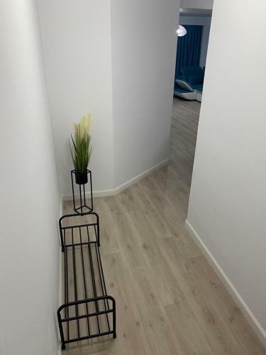 Dream Wave Apartaments