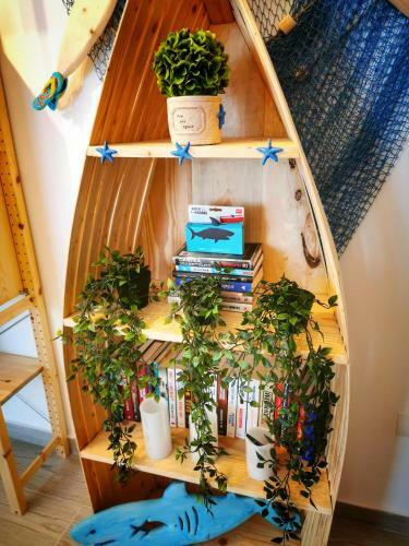 Apartamento Debarcaderul Pescarului
