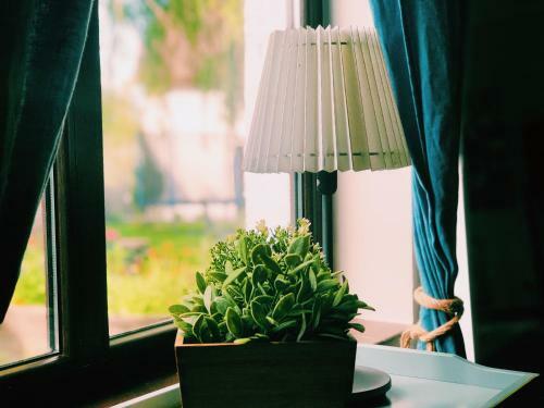 Hostal Pensiunea La Salcia Linistita