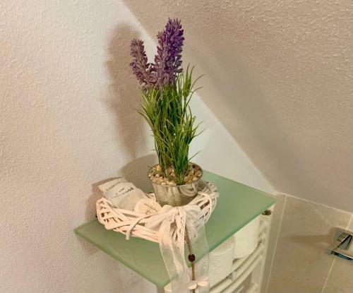 Hostal Vila Anelisse