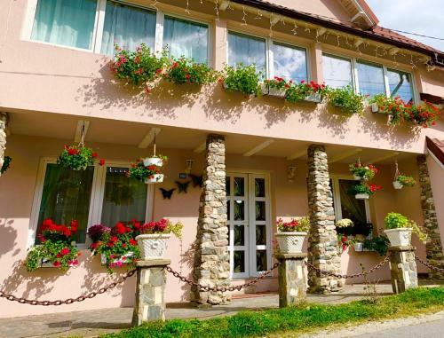 Hostal Vila Anelisse