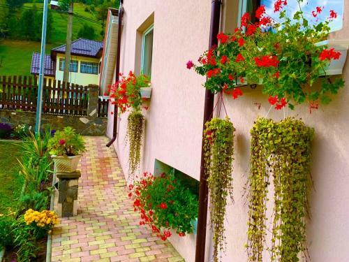 Hostal Vila Anelisse