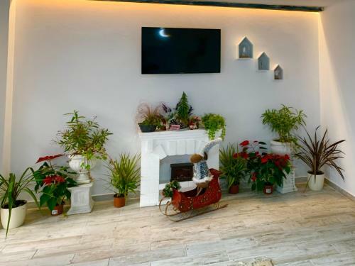 Hostal Vila Anelisse
