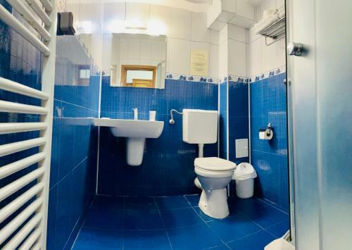 Hostal Pensiunea Beluga