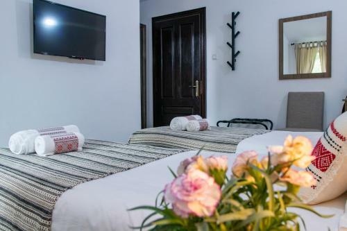 Hotel Floare De Colt