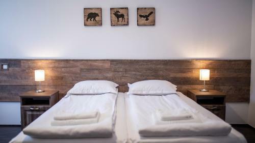 Hotel Floare De Colt