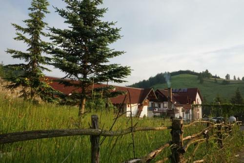 Hotel Floare De Colt