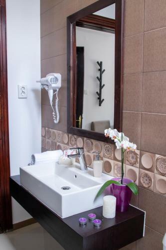 Hotel Floare De Colt