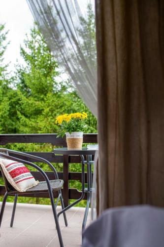 Hotel Floare De Colt