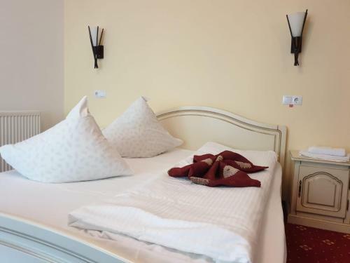 Hostal Vila Vraja Muntelui
