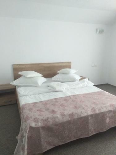 Hostal Pensiunea Rares