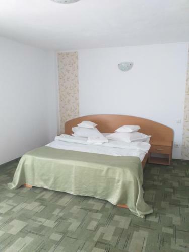 Hostal Pensiunea Rares