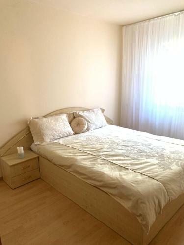 Lidiana Oradea Apartment