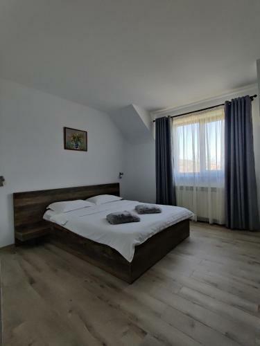 Hostal Pensiunea Roua