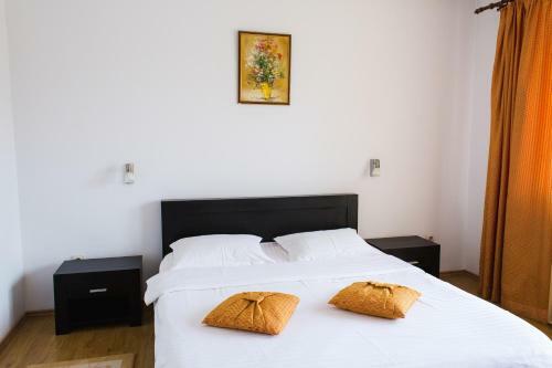 Hostal Pensiunea Roua