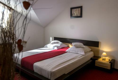 Hostal Pensiunea Komodo