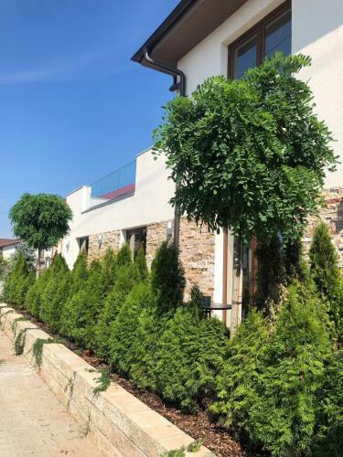 Hotel Yarus Plus