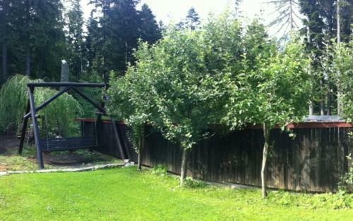 Hostal Pensiunea Margaritar