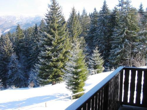 Hostal Complex Panoramic Predeal