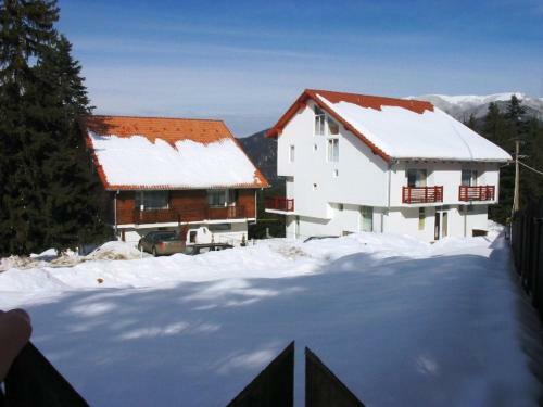 Hostal Complex Panoramic Predeal
