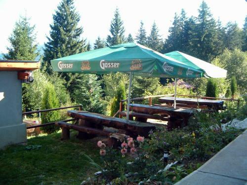 Hostal Complex Panoramic Predeal