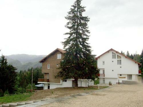 Hostal Complex Panoramic Predeal
