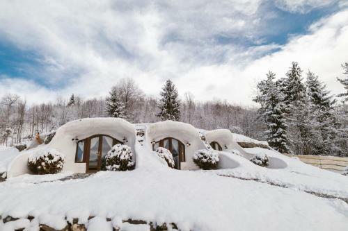 Hostal Pensiunea Dealul Verde