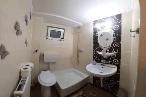 Hostal Vila Trei Brazi