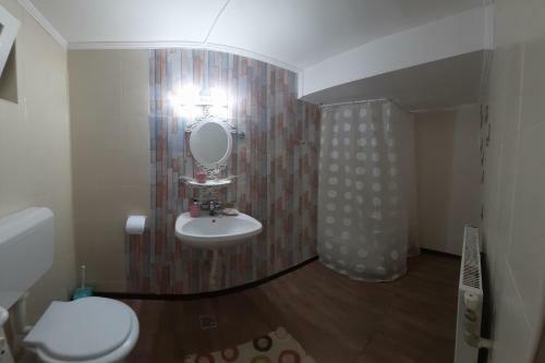 Hostal Vila Trei Brazi