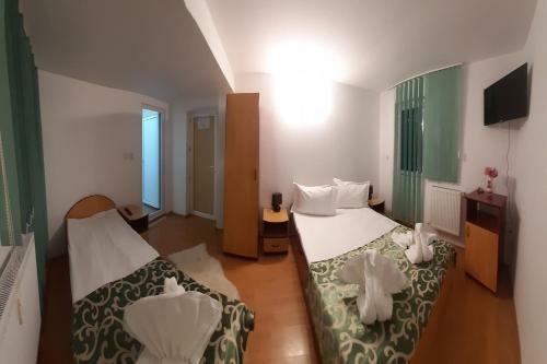 Hostal Vila Trei Brazi